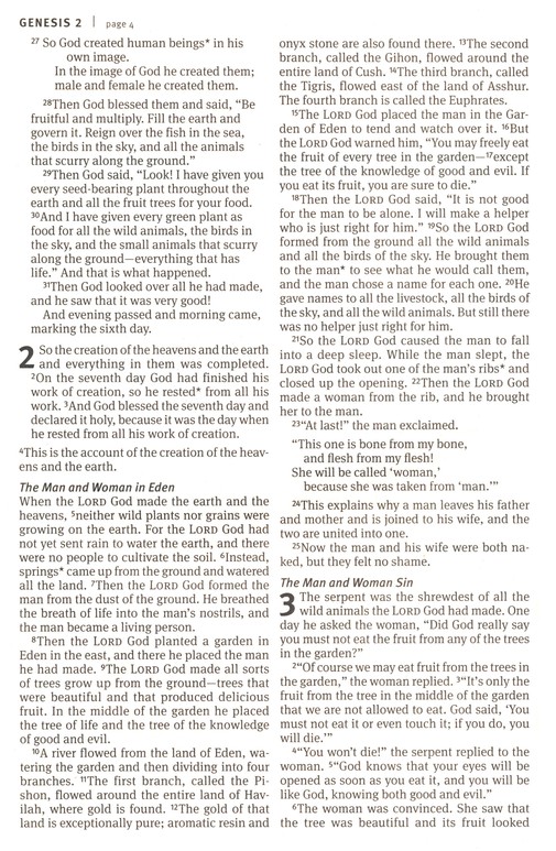 NLT Outreach Bible, Large Print Edition - Image 4