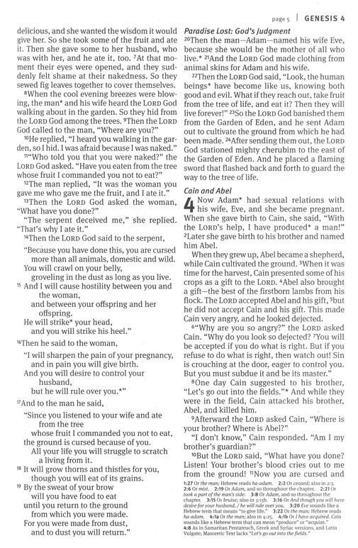 NLT Outreach Bible, Large Print Edition - Image 5