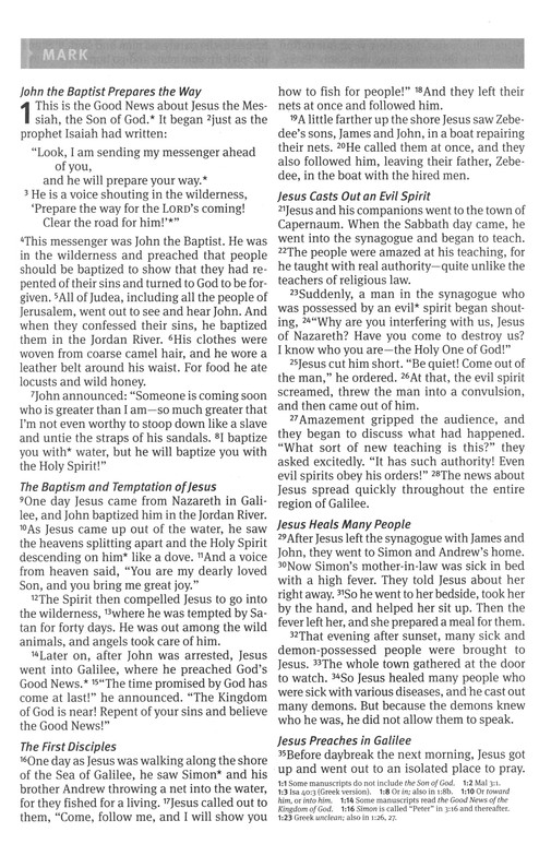 NLT Outreach Bible, Large Print Edition - Image 6