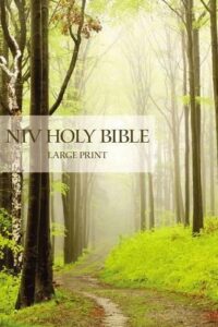 NIV, Holy Bible, Large Print, Paperback