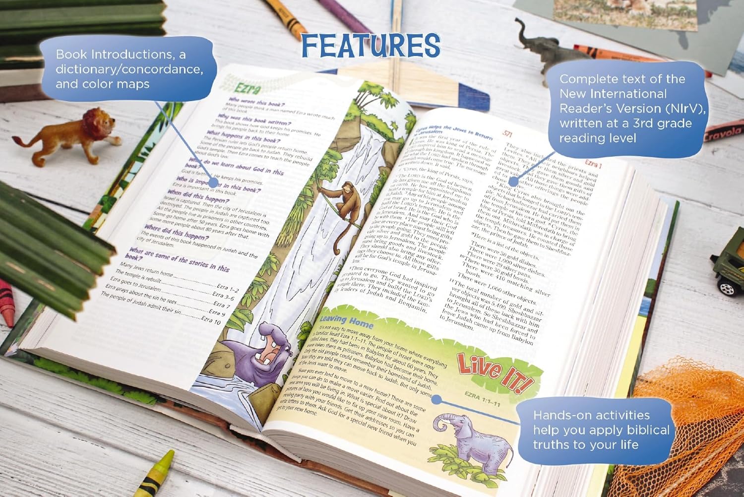 NIrV, Adventure Bible for Early Readers, Full Color Interior, Hardcover - Image 5