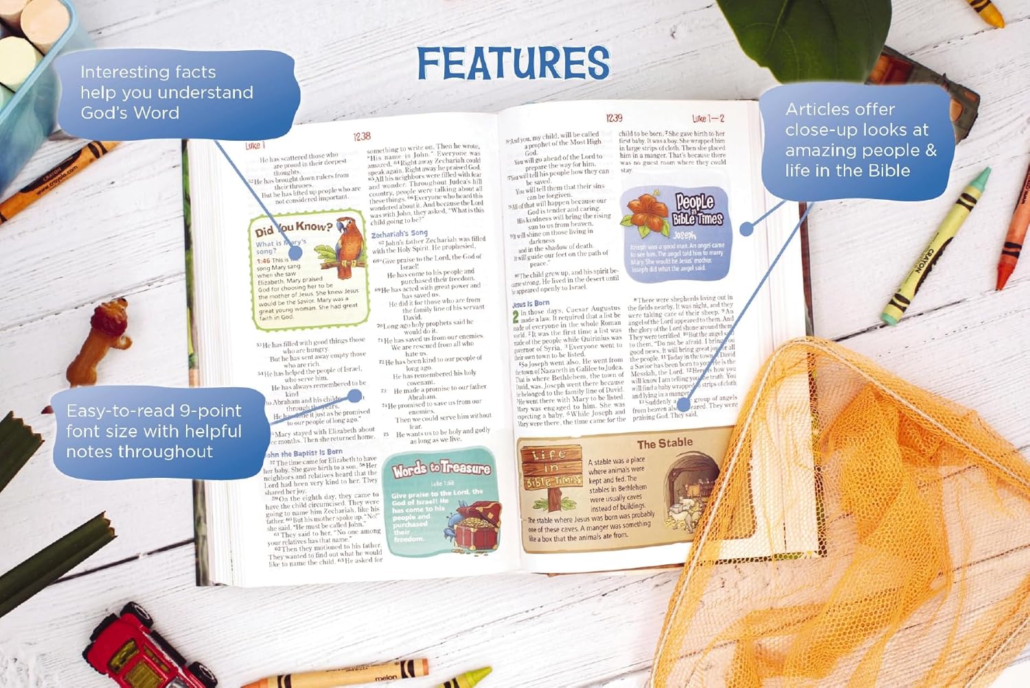 NIrV, Adventure Bible for Early Readers, Full Color Interior, Hardcover - Image 7