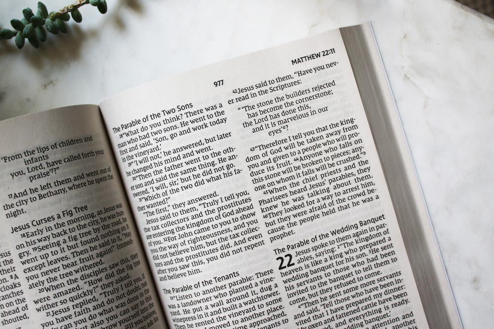 NIV, Jesus Everywhere Outreach Bible, Larger Print, Paperback, Comfort Print - Image 4