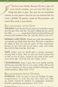 Praying for Your Family 50-pack - Cards