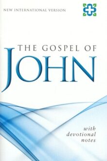 NIV Gospel of John